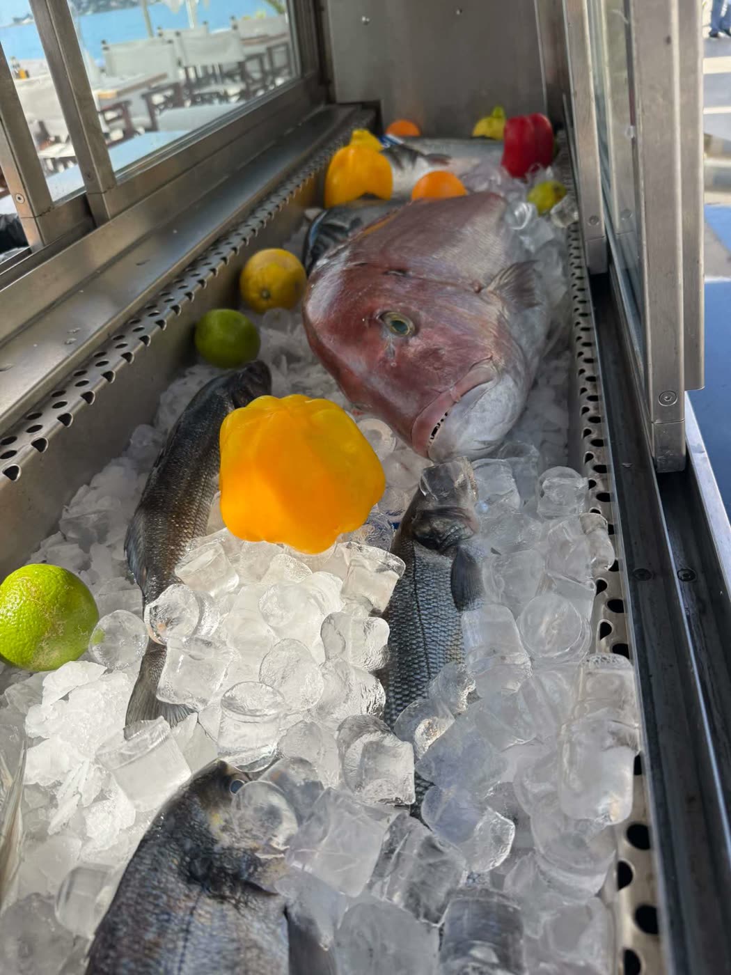 Vitrine de poissons frais sur glace face à la mer